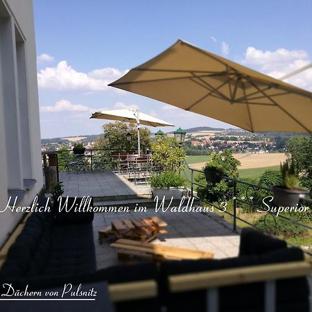Waldhaus Pulsnitz Hotel Екстериор снимка