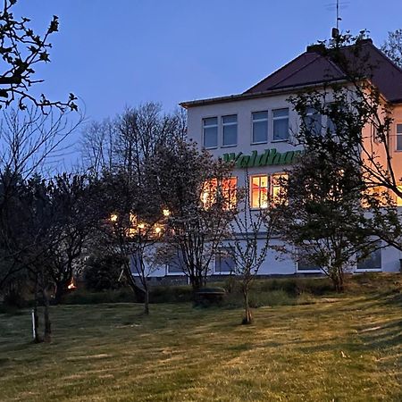 Waldhaus Pulsnitz Hotel Екстериор снимка